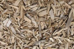 biomass boilers Dre Goch